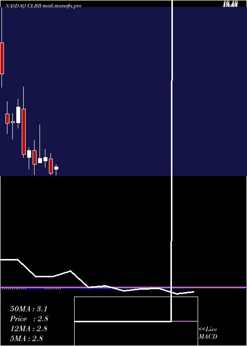  monthly chart CellectarBiosciences