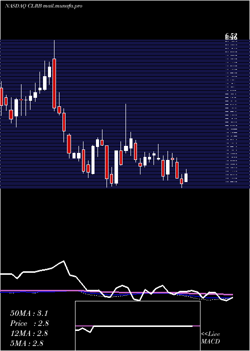  weekly chart CellectarBiosciences