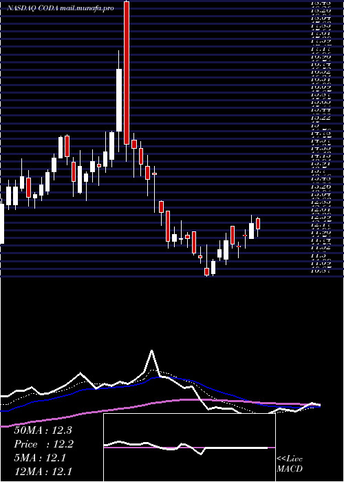  Daily chart CodaOctopus