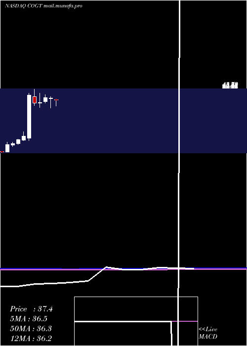  monthly chart CogintInc