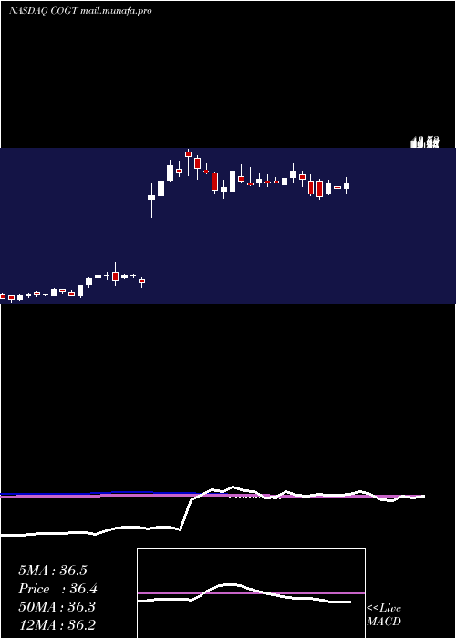  weekly chart CogintInc