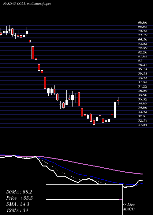  Daily chart CollegiumPharmaceutical