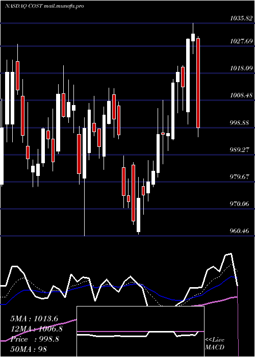  Daily chart CostcoWholesale