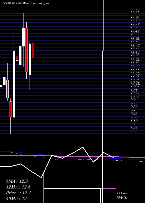  monthly chart CresudS