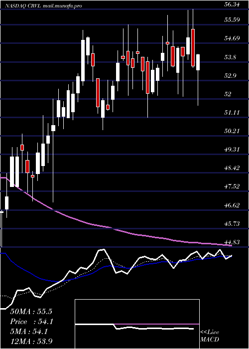  Daily chart CorvelCorp