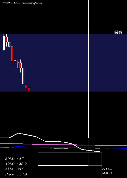  monthly chart CostarGroup