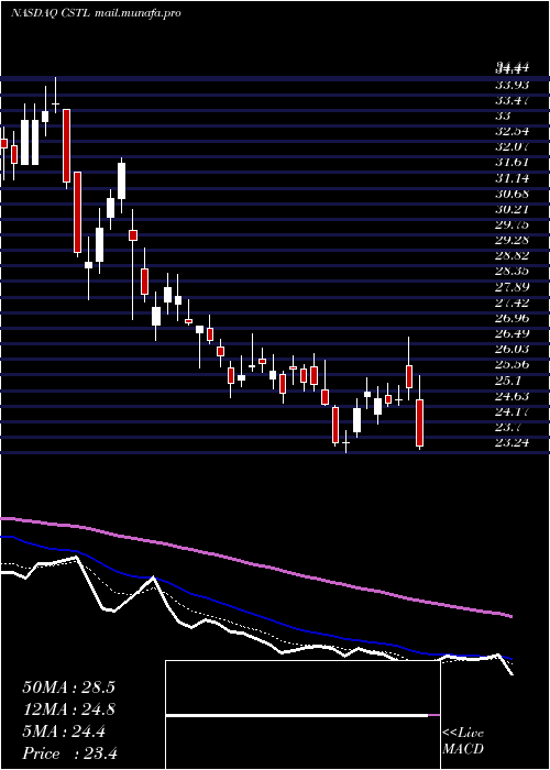  Daily chart CastleBiosciences