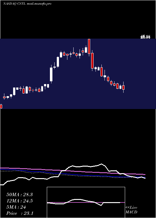  weekly chart CastleBiosciences