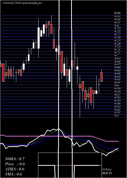  Daily chart CytosorbentsCorporation