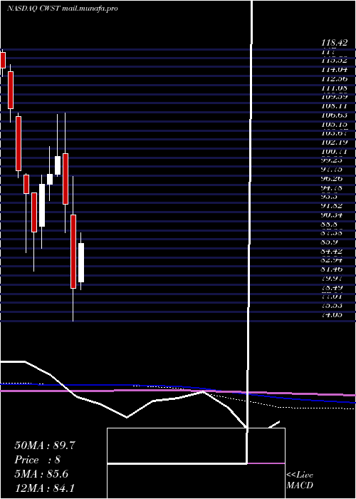  monthly chart CasellaWaste