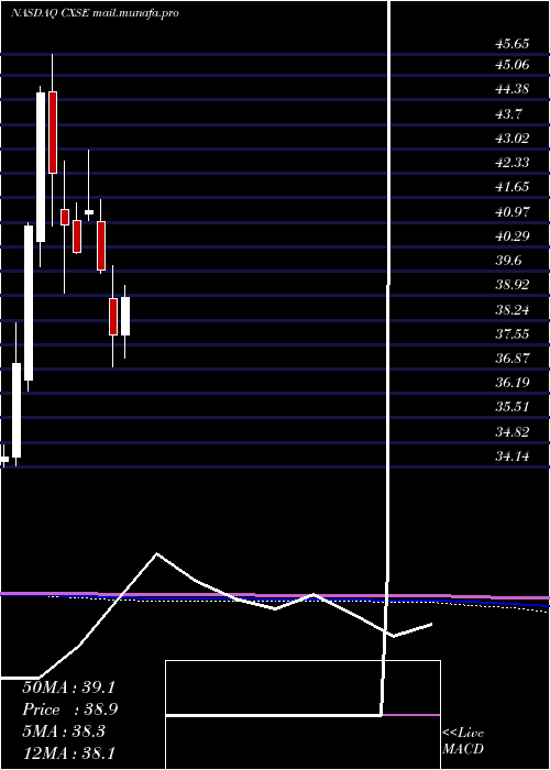  monthly chart WisdomtreeChina
