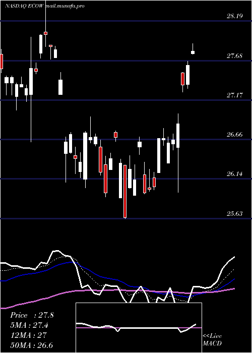  Daily chart PacerEmerging