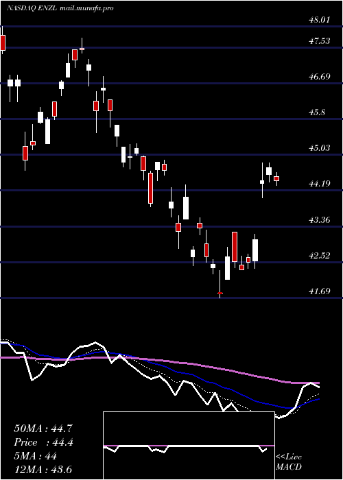  Daily chart IsharesMsci