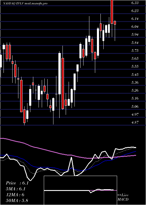  Daily chart EvineLive