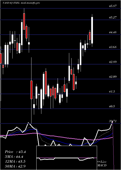  Daily chart ExelixisInc