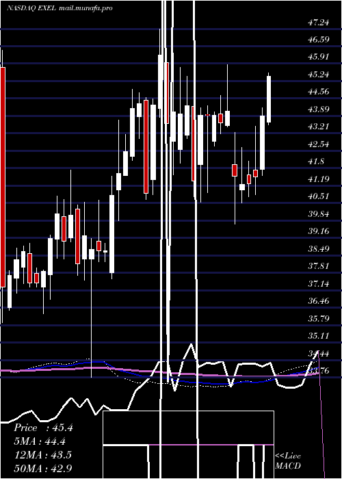  weekly chart ExelixisInc