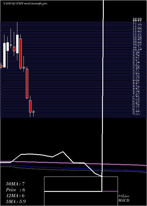  monthly chart ExpWorld