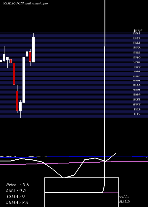  monthly chart FirstGuaranty
