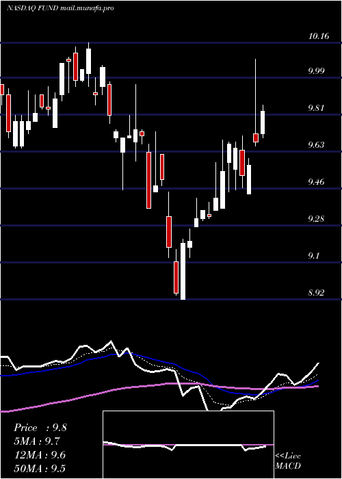  Daily chart SprottFocus