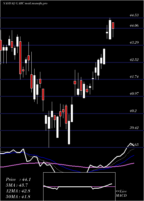  Daily chart GermanAmerican