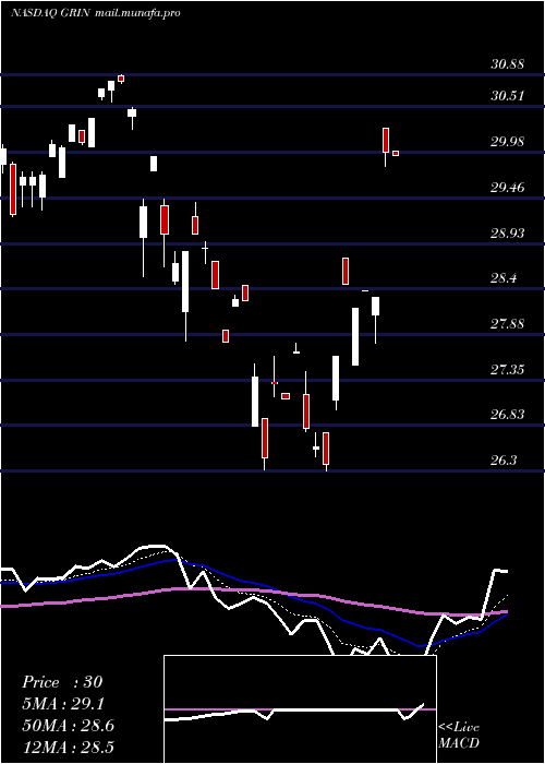  Daily chart GrindrodShipping