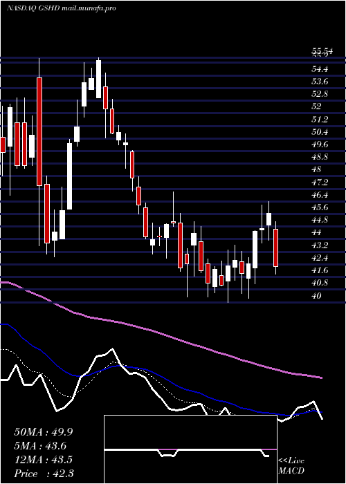  Daily chart GooseheadInsurance