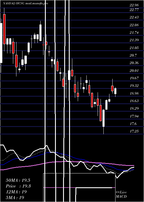  Daily chart HealthcareServices