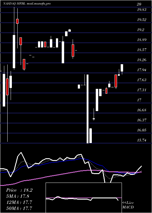  Daily chart HomeFederal