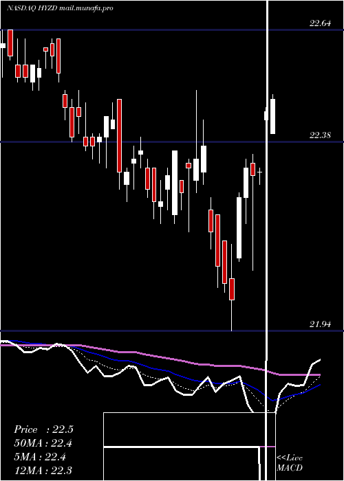  Daily chart WisdomtreeInterest