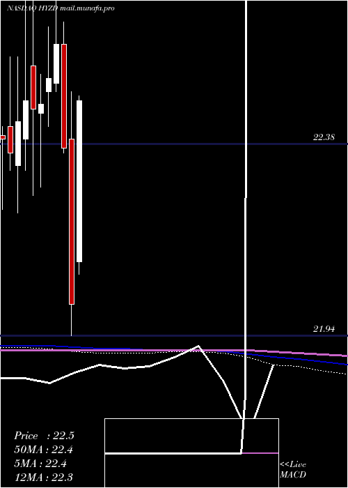  monthly chart WisdomtreeInterest