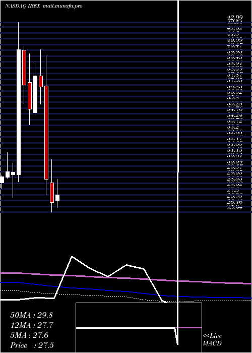  monthly chart IbexHoldings