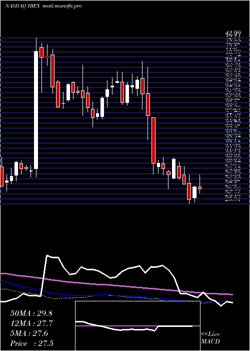  weekly chart IbexHoldings