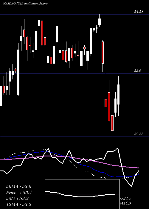  weekly chart IsharesIntermediate