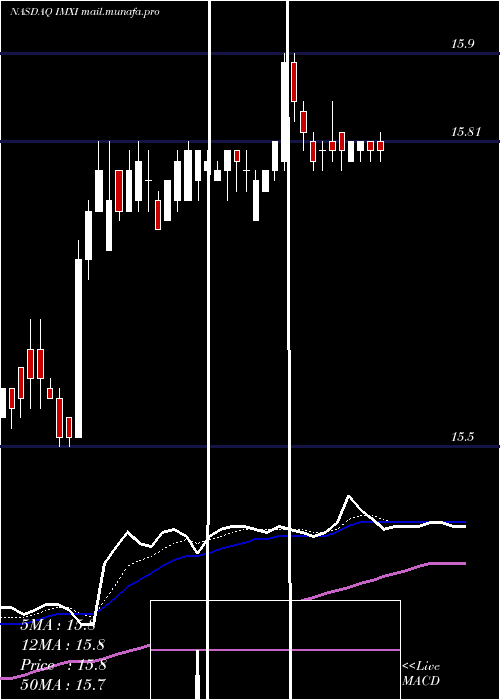  Daily chart InternationalMoney