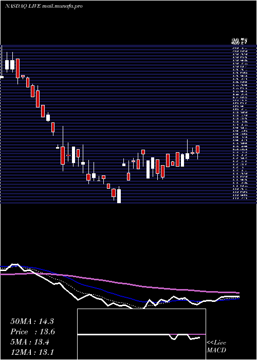  Daily chart LiveVentures