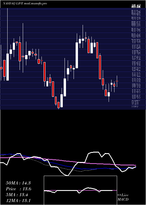  weekly chart LiveVentures