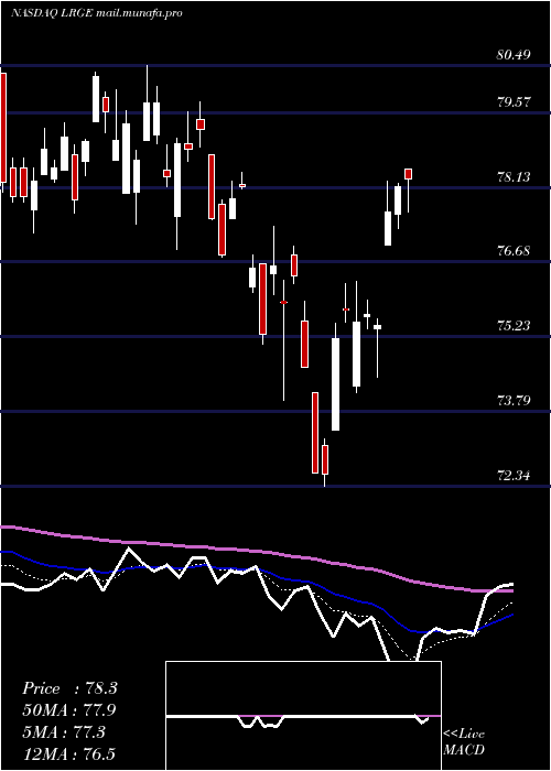  Daily chart ClearbridgeLarge