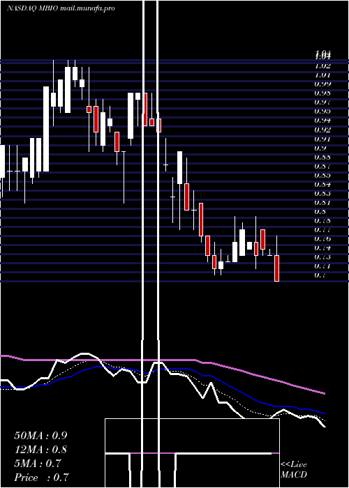  Daily chart MustangBio