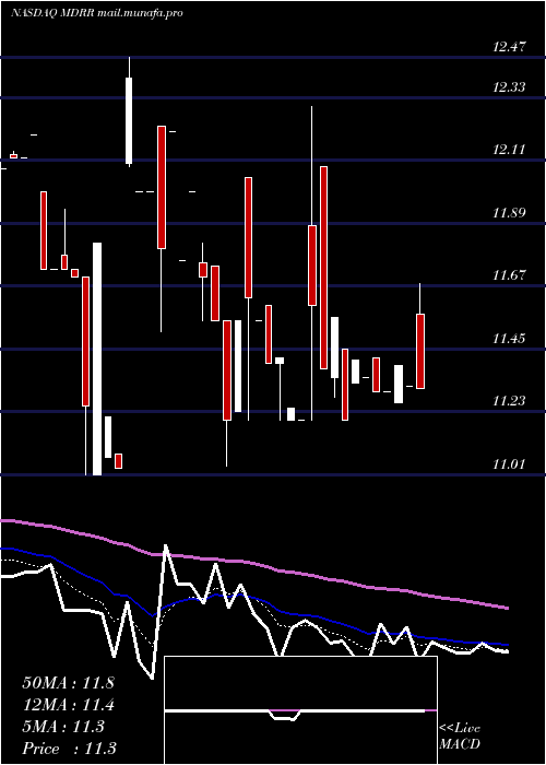  Daily chart MedalistDiversified