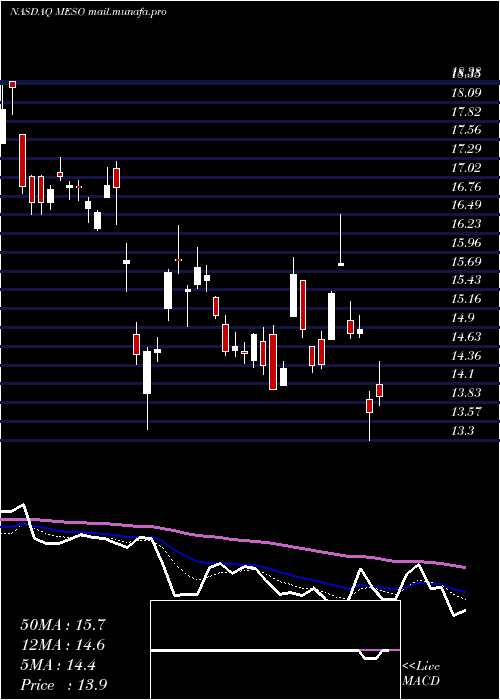  Daily chart Mesoblast