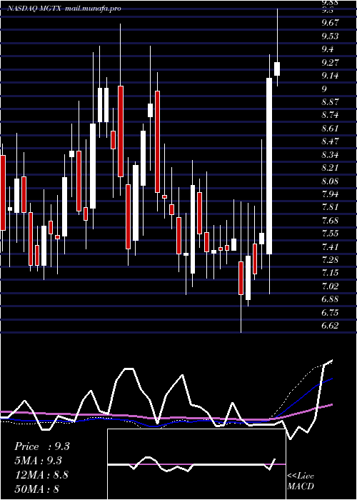  weekly chart MeiragtxHoldings