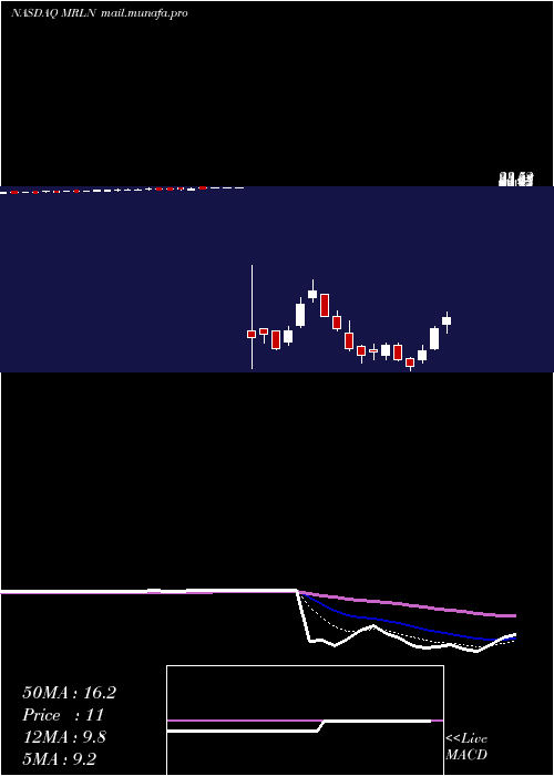  Daily chart MarlinBusiness