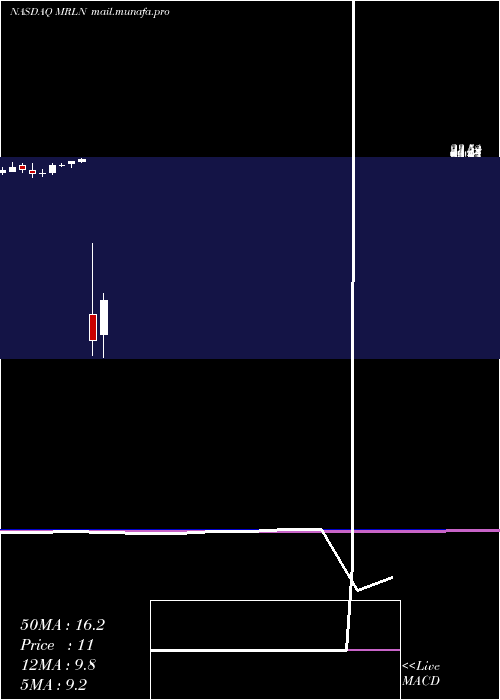  monthly chart MarlinBusiness