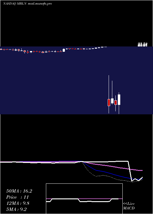  weekly chart MarlinBusiness