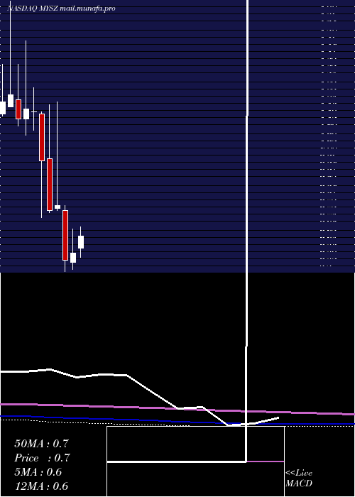 monthly chart MySize