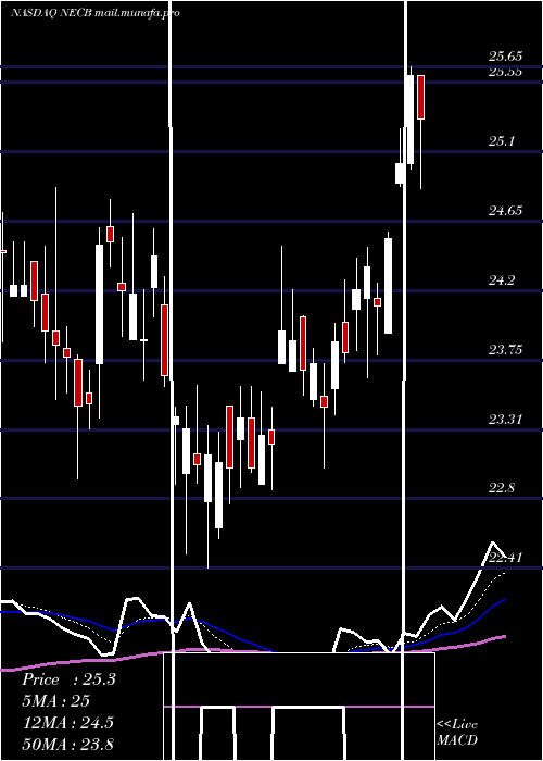  Daily chart NortheastCommunity
