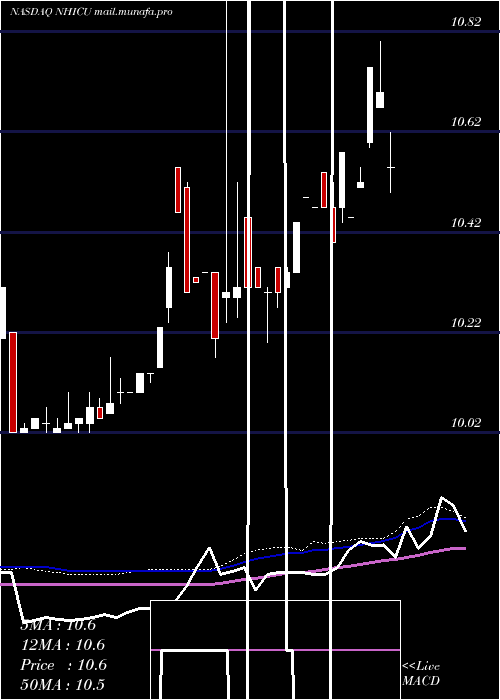  weekly chart NewholdInvestment