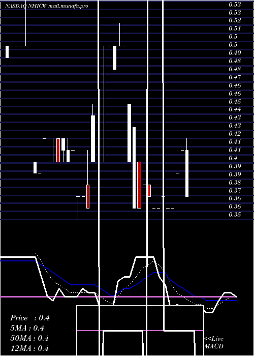  Daily chart NewholdInvestment