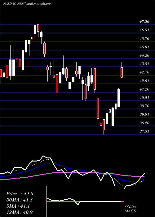  Daily chart NapcoSecurity