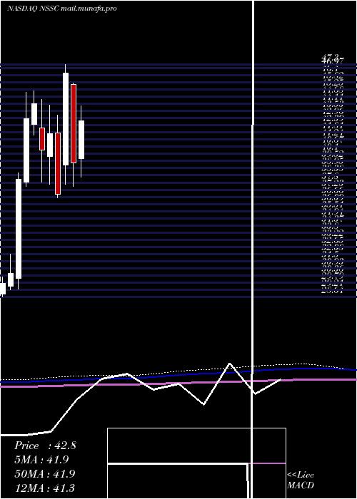  monthly chart NapcoSecurity
